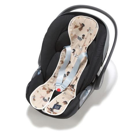 ImagePT-1064888211598