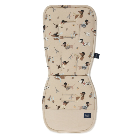 ImagePT-1064893175758