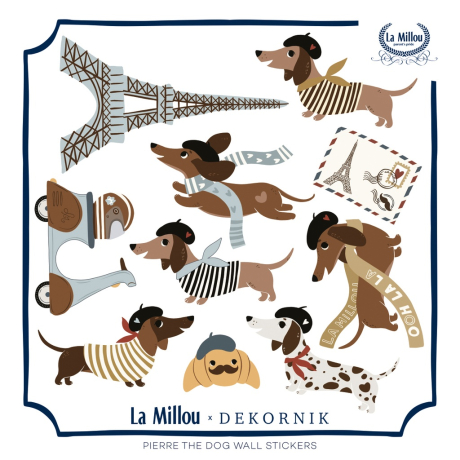 ImagePT-1121350251373