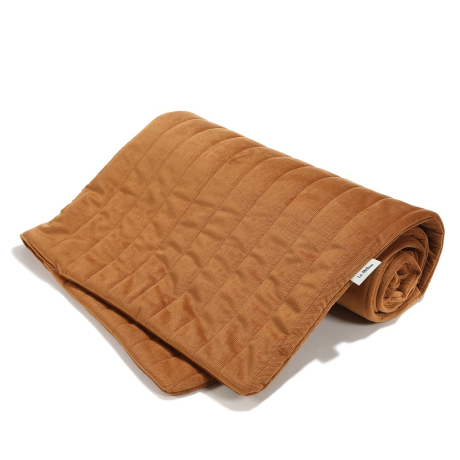 ImagePT-1462585245589