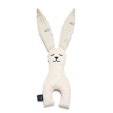 ImagePT-153568464468