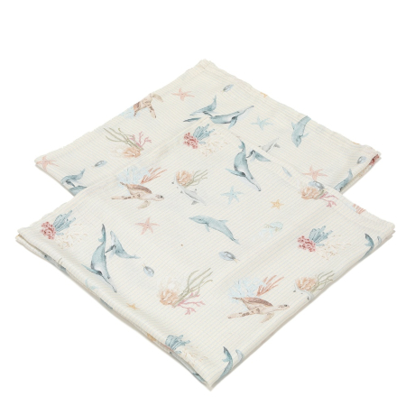 ImagePT-1535761208391