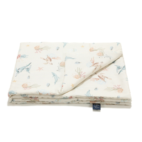 ImagePT-1535799133669