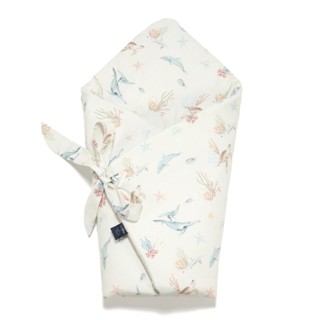 ImagePT-1541712145103