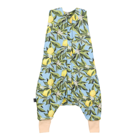 ImagePT-929829245632