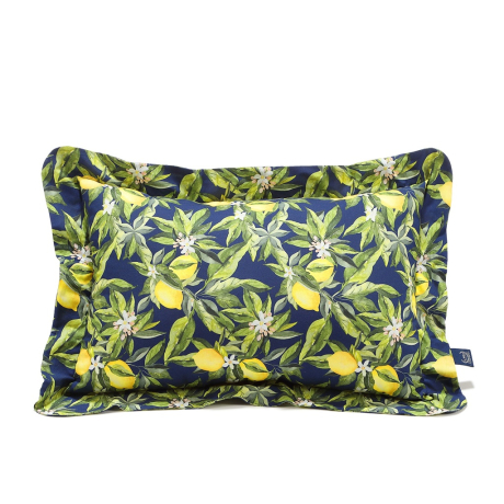 ImagePT-929994316497