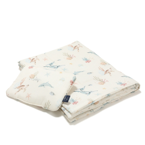 ImagePP-1535817133921