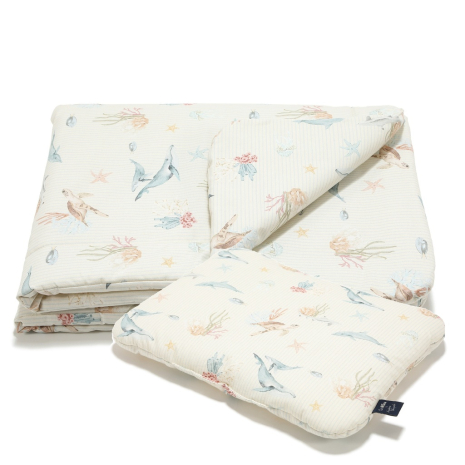 ImagePP-1535828195931