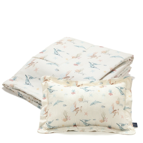 ImagePP-1539556219798