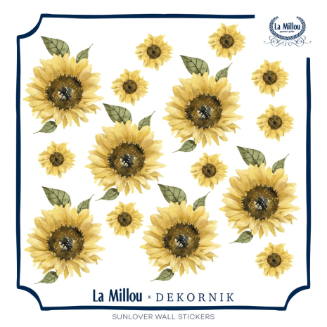 ImagePT-1121322304924