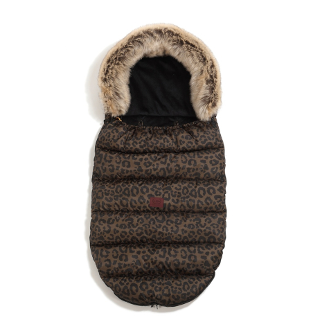 ImagePT-1253463184078 ImagePT-1253463184078