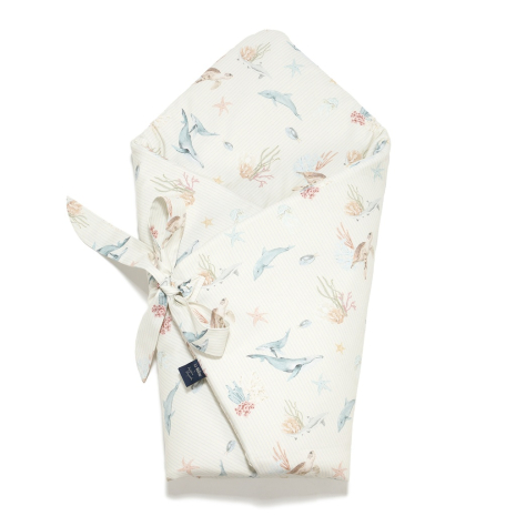 ImagePT-1541712145103