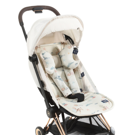 ImagePT-1545793190722