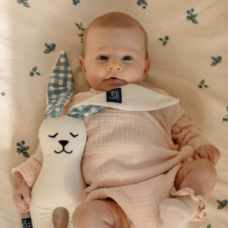 Maskotka Kr&oacute;lik Velvet BERRY VICHY-1357196319954