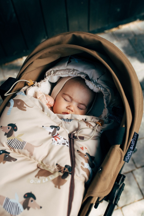 Śpiworek do Wózka Baby Multi PIERRE THE DOG-1067181201168 Śpiworek do Wózka Baby Multi PIERRE THE DOG-1067181201168