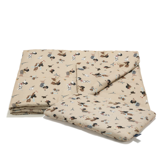 ImagePP-10645011059545