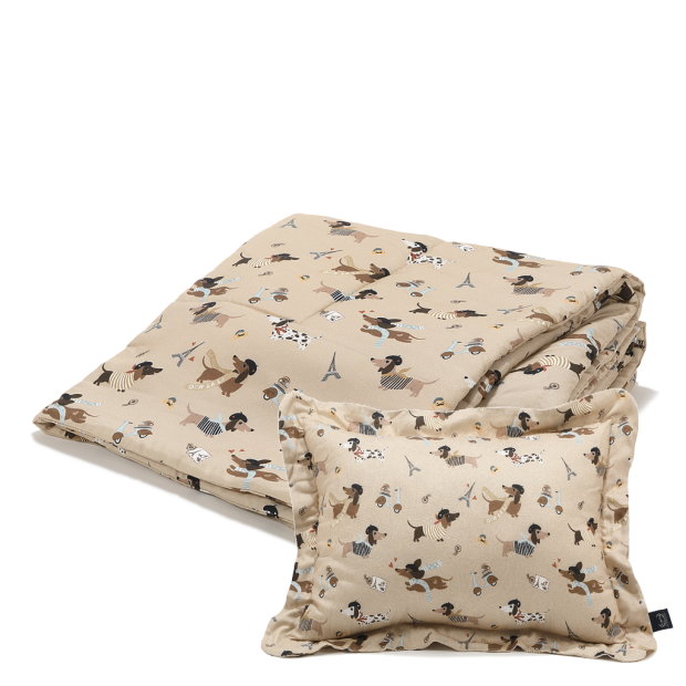 ImagePP-10645071052386