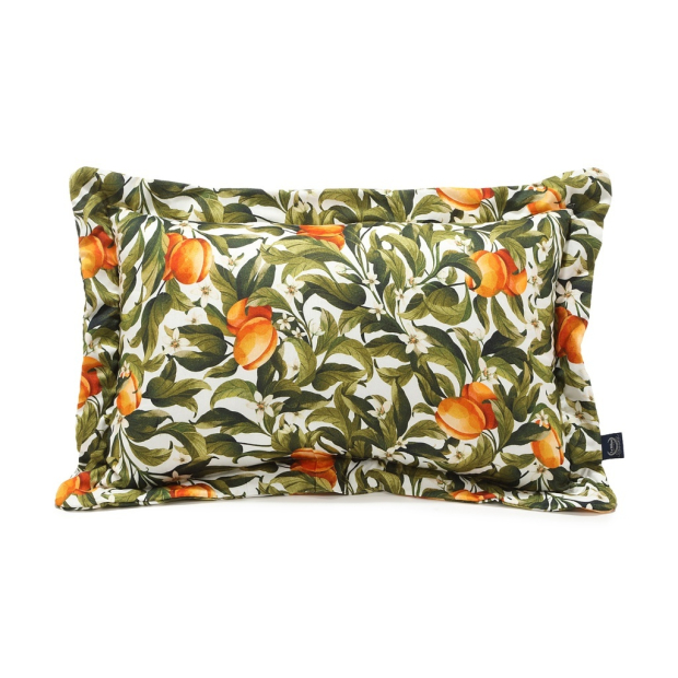 ImagePP-438894274219