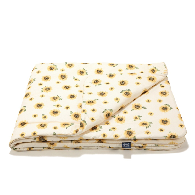 ImagePP-929234175063