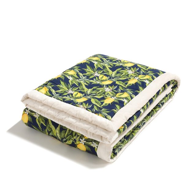 ImagePP-929870218553