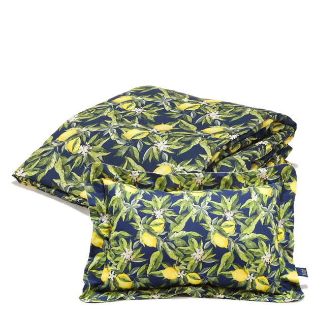 ImagePP-929930375158