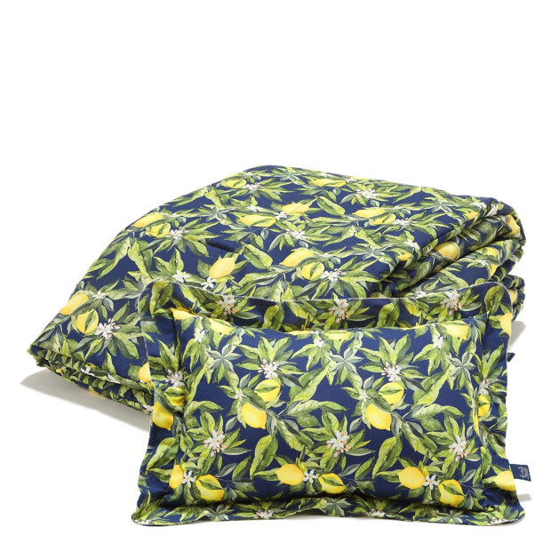 ImagePP-929942374685