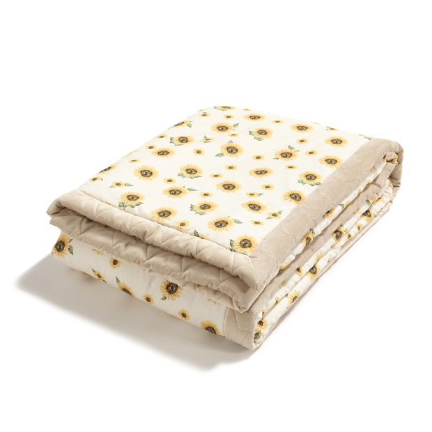 ImagePP-930821166245