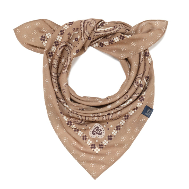 ImagePT-1550645255618