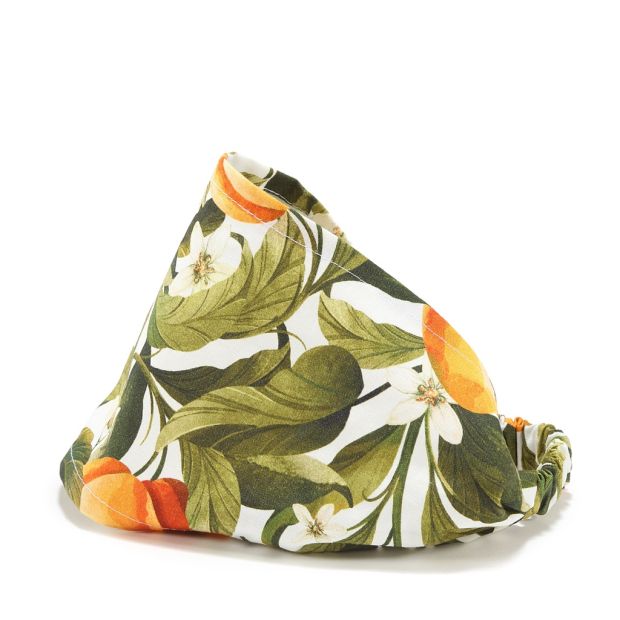 ImagePT-438774237117