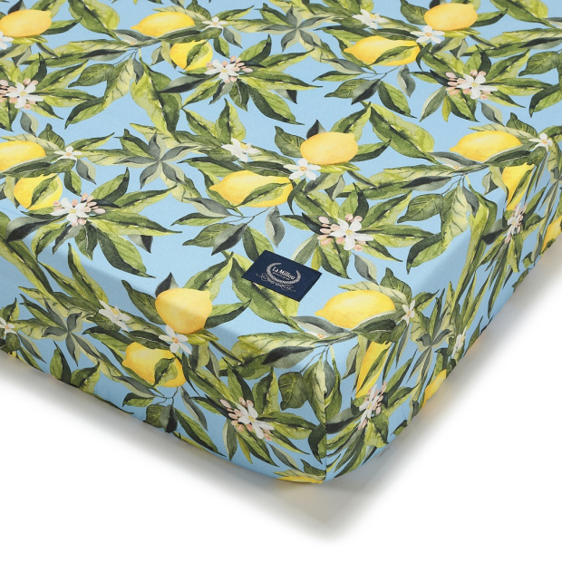 ImagePT-929819505934