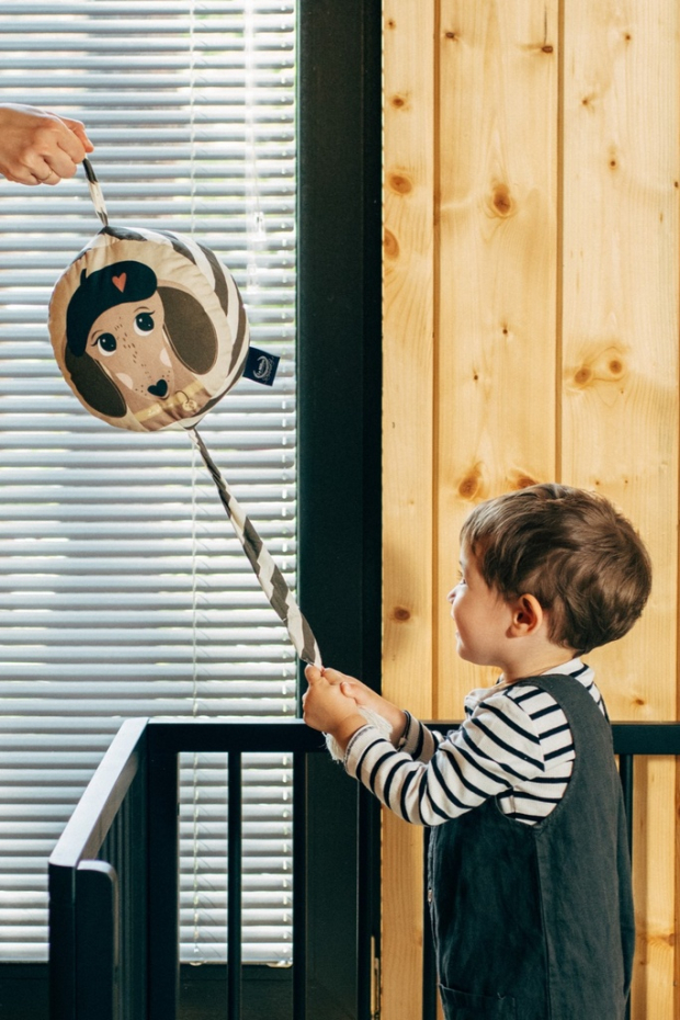 Pozytywka  PIERRE THE DOG-1076755247735