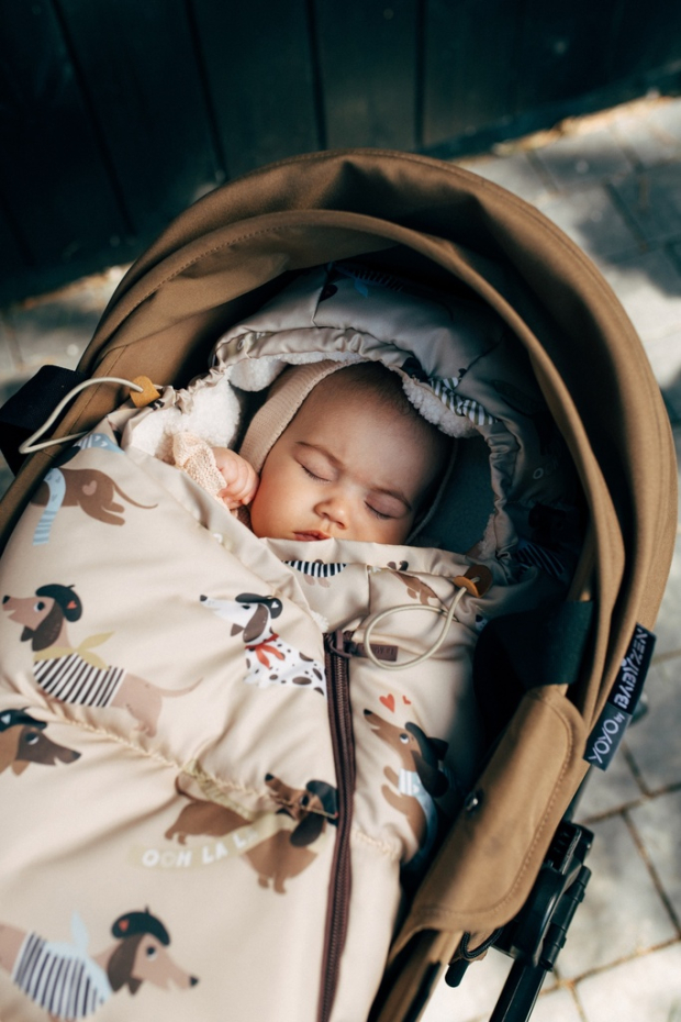 Śpiworek do Wózka Baby Multi PIERRE THE DOG-1067181201168