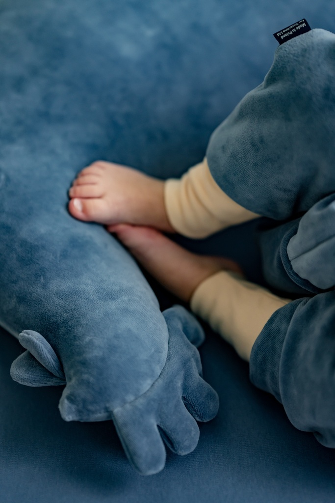 Grandma Dana's Hen Pillow Cotto WIND BLUE