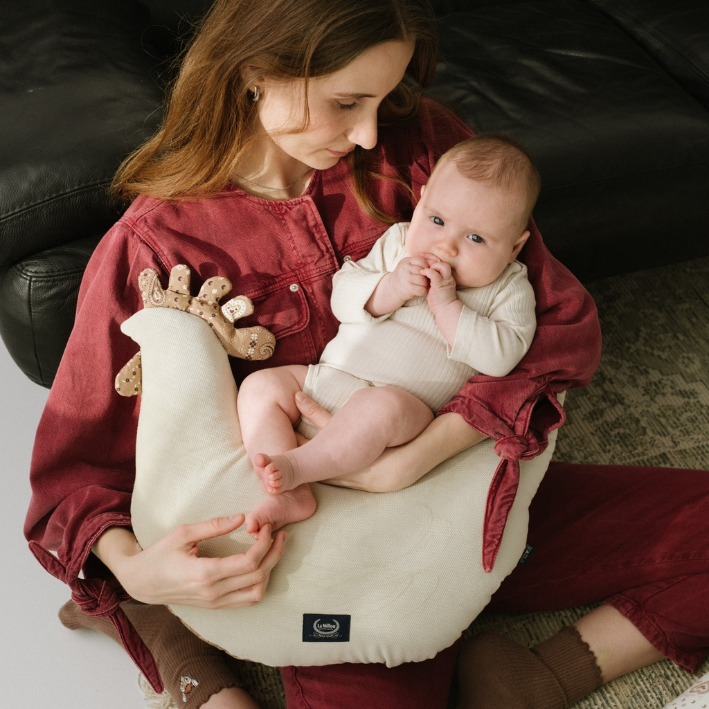 Grandma Dana's Hen Pillow Velvet Cotton BANDANA MOCCA