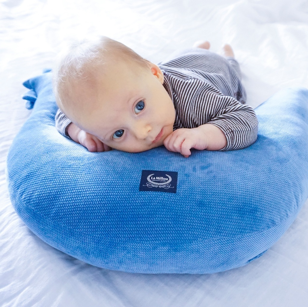 Grandma Dana's Hen Pillow Velvet DOVE BLUE
