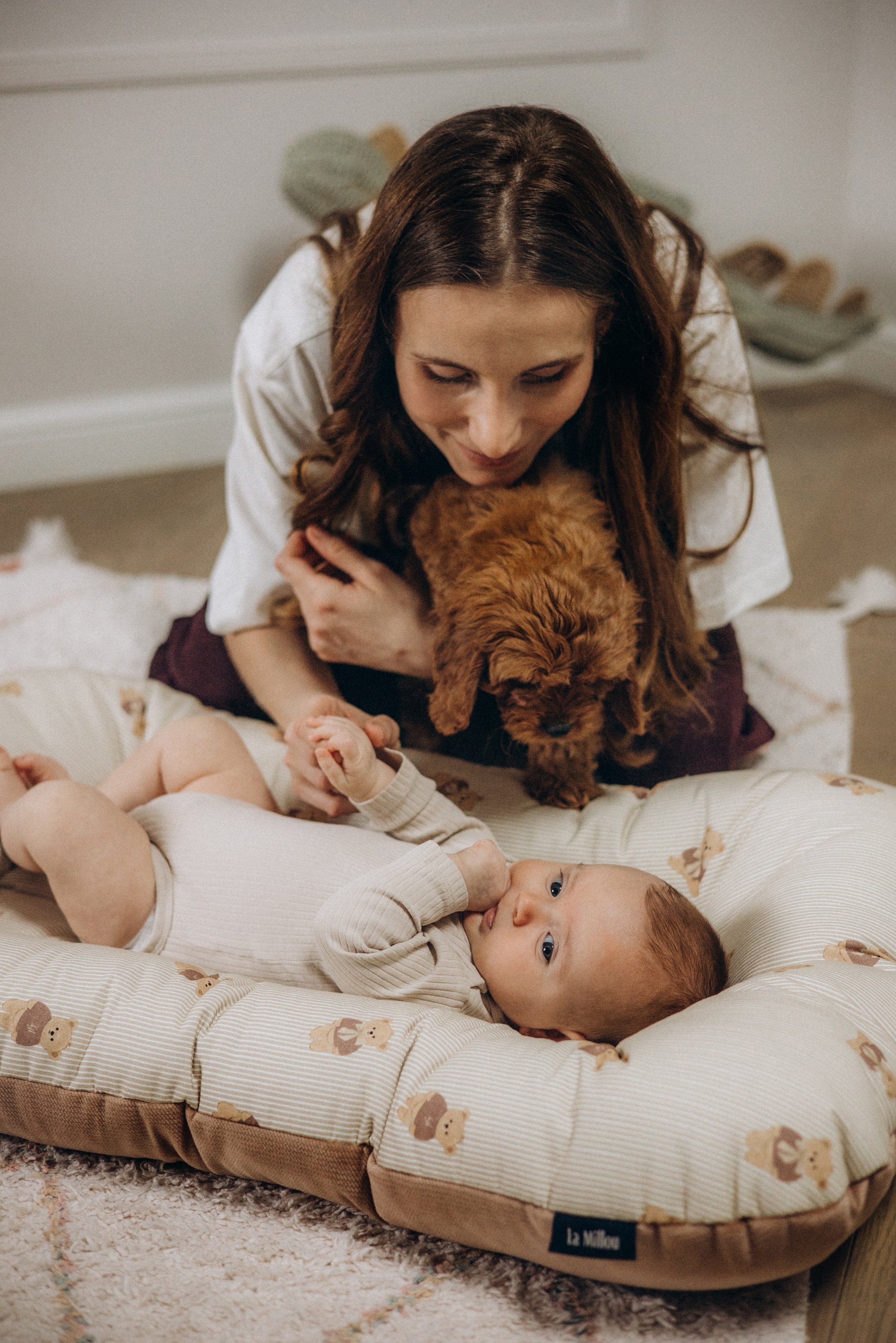 banner-category_kokon_best_nest_velvet_banner-1-EN