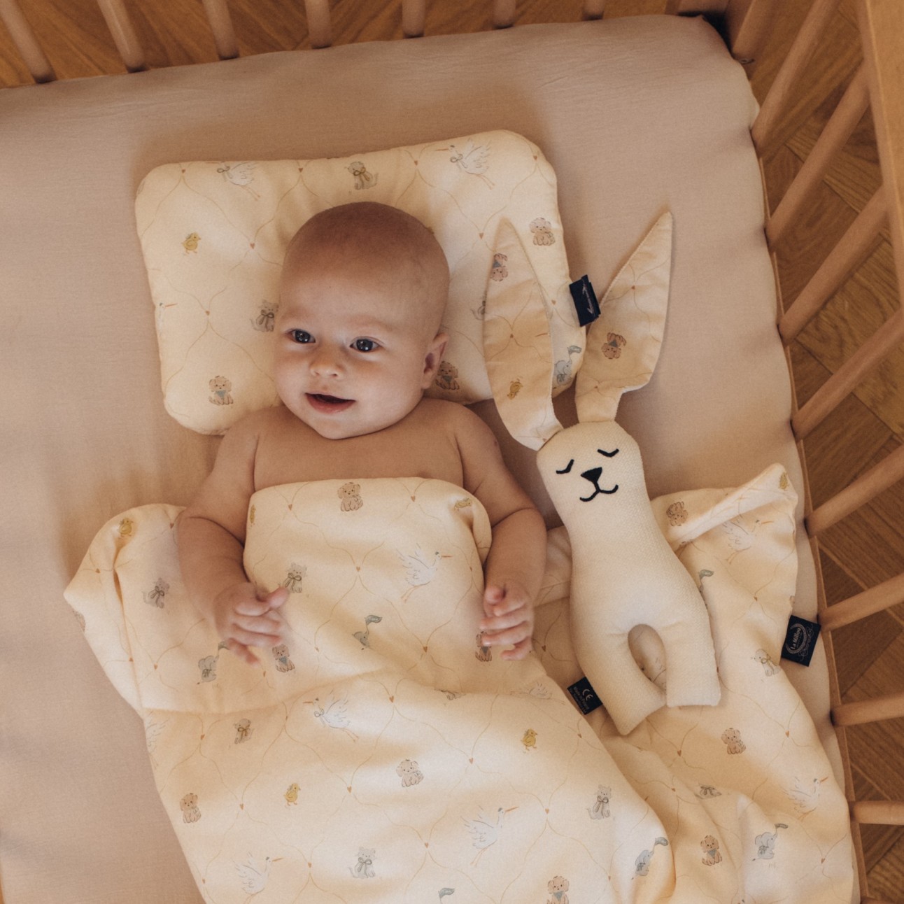 banner-kolekcja_bebe_mignon_banner-1